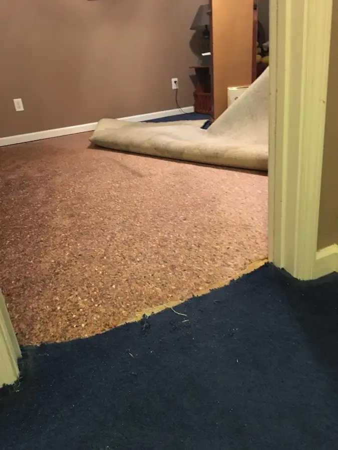 Carpet pad removal revealing water damage during Drying & Dehumidification in Atlas